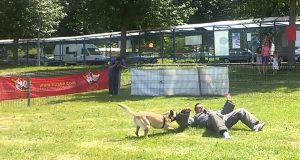 European-Hostage-Rescue-Dog-Training-SIGMA-3