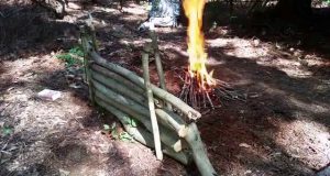 Primitive-shelter-Bushcraft-skills-Lean-to-pt-2-camping-survive-and-thrive-eagle-jon