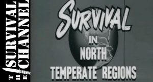 Survival-Living-Off-The-Land-1955-US-Navy-Training-Film-The-Survival-Channel-Outdoor-Gear-Reviews