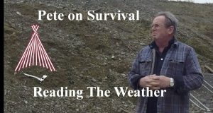 Survival-Tactics.-Reading-weather